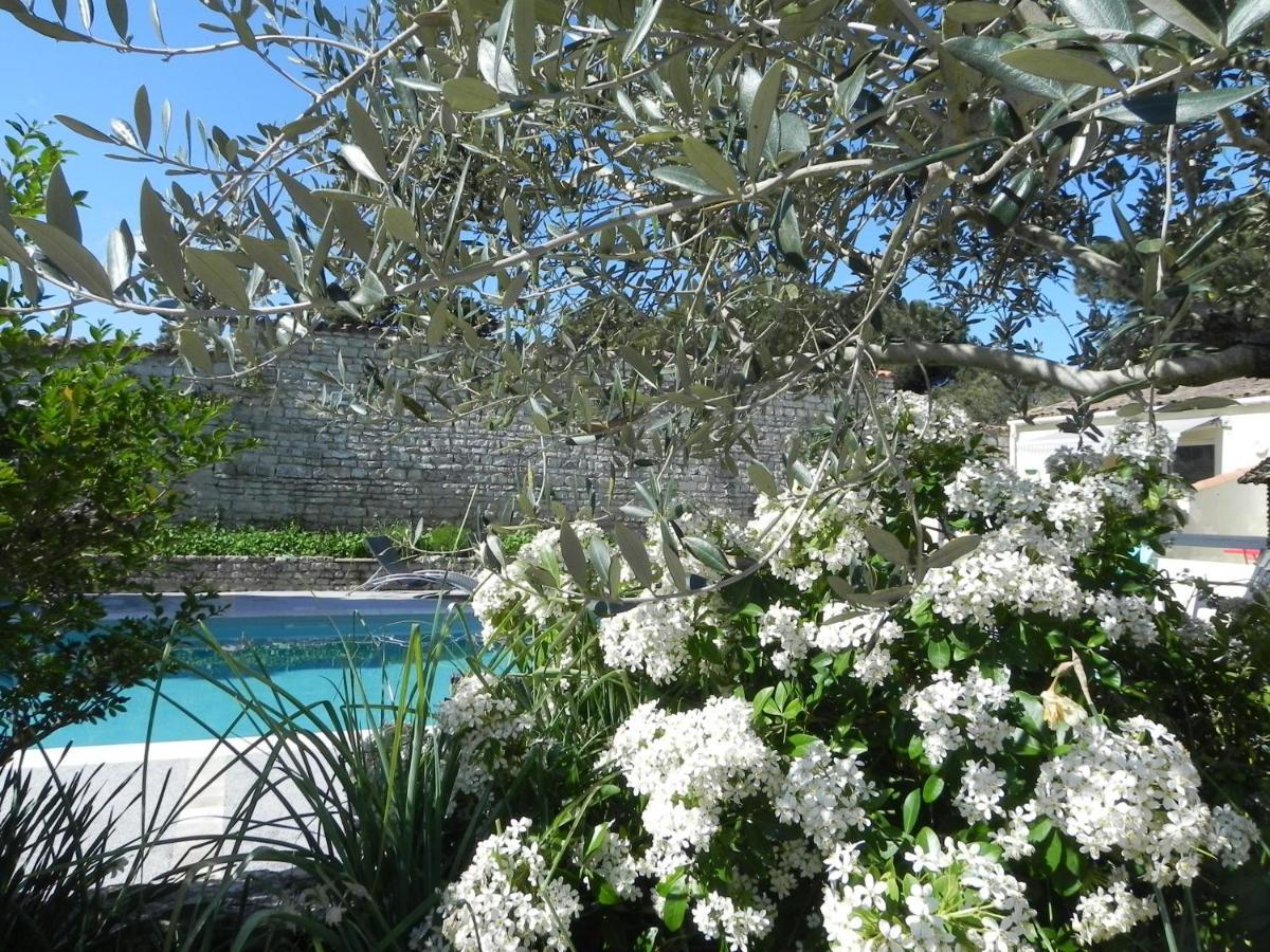Villa Del Re 3 Face A La Piscine La Flotte Extérieur photo
